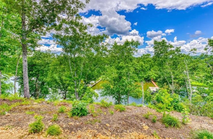 The Aries-A Stargazing, Luxury Glamping Tent Rogersville Exterior foto